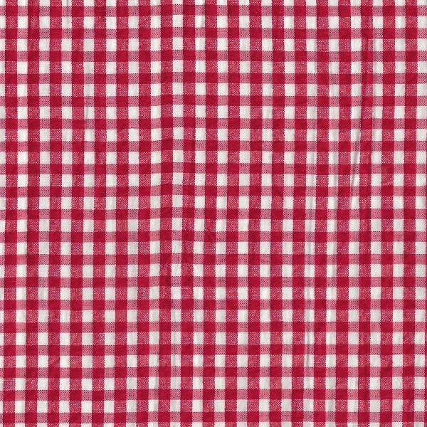 bermuda Carlo - Vichy rosso - immagine 3