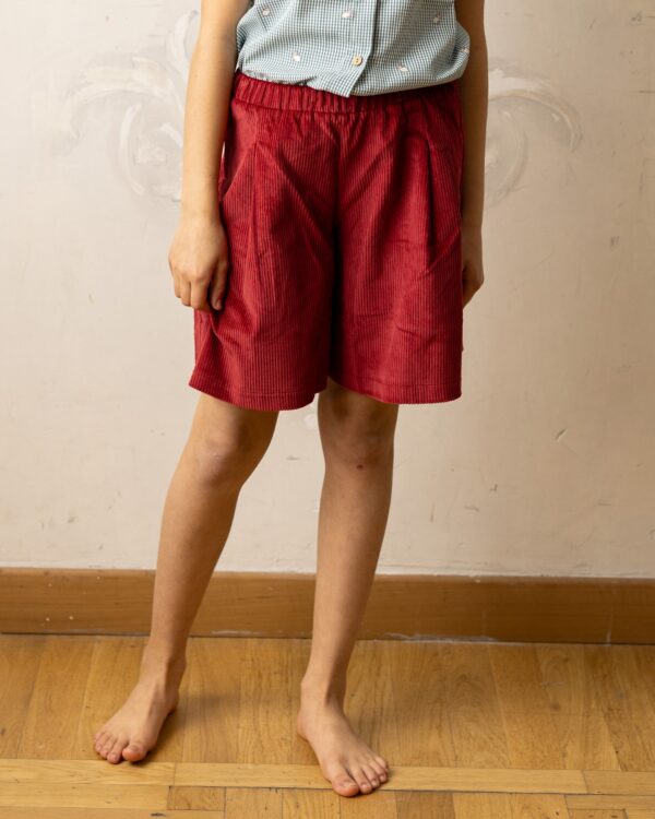 Teresa pants skirt - velvet 500 stripes cherry